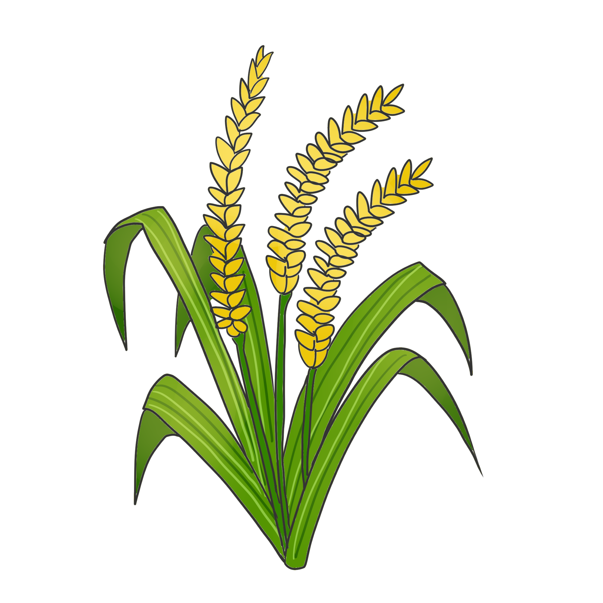 Optimalisasi Produksi Padi Jawa Barat